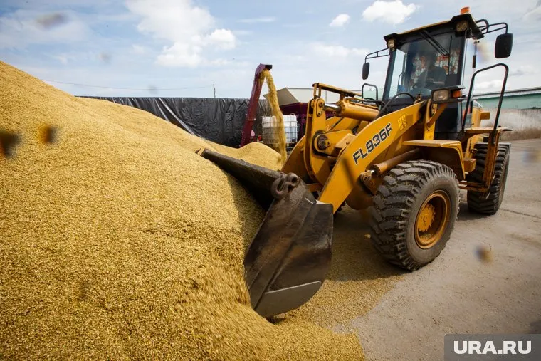 В Чите появится специальный хаб для экспорта продуктов, в том числе зерна
