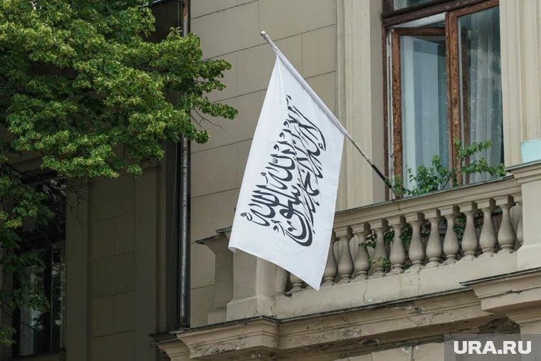 В Афганистане не перекрыли доступ в интернет, заявили представители «Талибана» 