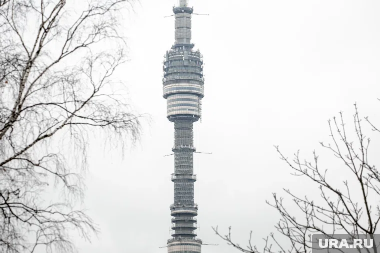 Полина Лурье отказалась участвовать в шоу "Пусть говорят"