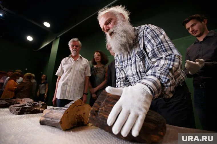 «Распил нижнего фрагмента и отбор образцов» Шигирского идола