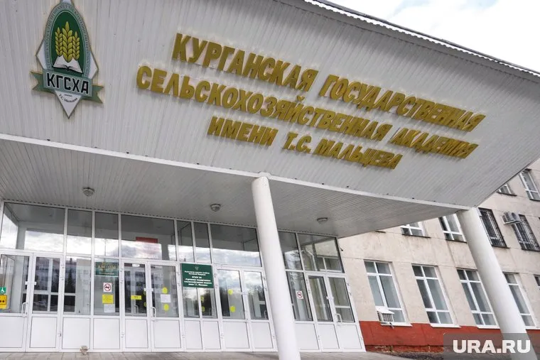 По словам женщины, худых лошадей заметили на территории КГСХА (архивное фото)