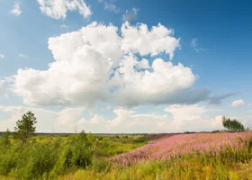 Назван главный цвет 2026 года