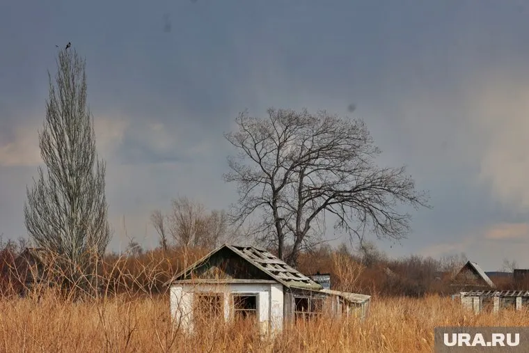 Мэрия обратится к благотворителям для восстановления СНТ после пожаров