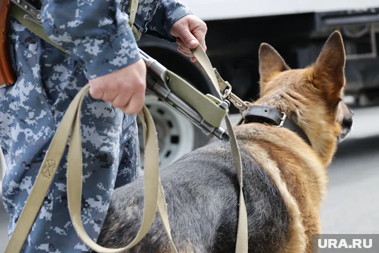 Сотрудники полиции изымают наркотики из незаконного оборота