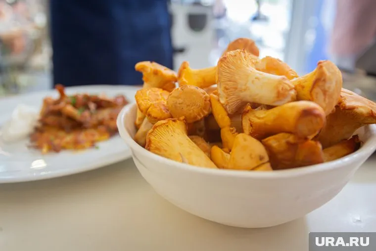 Грибники посоветовали искать лисички в лесу, а не на открытых площадках