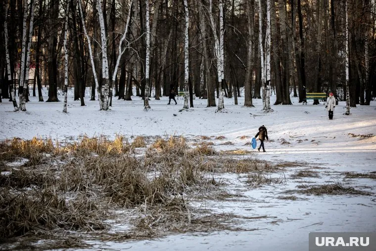 Против застройки парка на Ясной выступали местные жители