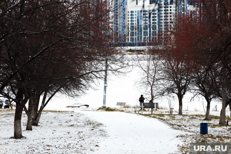 Снегопад прогнозировали синоптики (архивное фото)