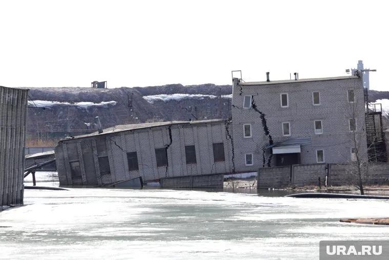 Социальные выплаты будут предоставлены 4492 гражданам