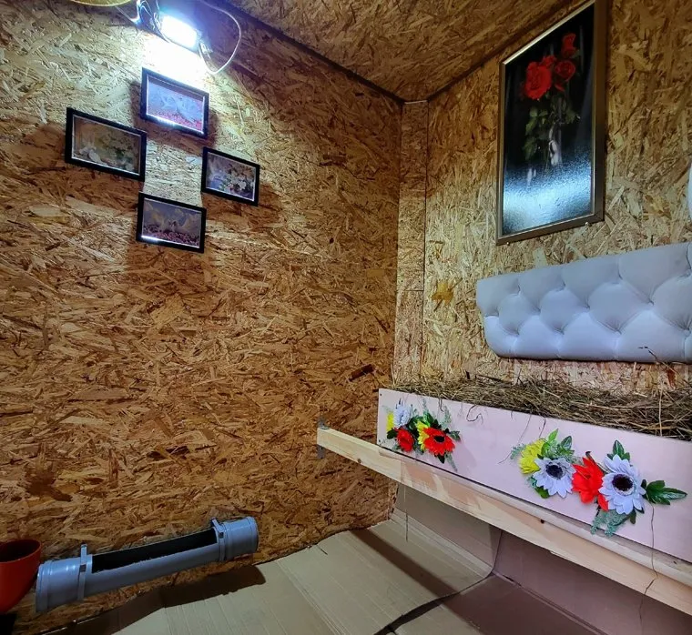 Бывший спикер Пермской городской думы построил новый курятник