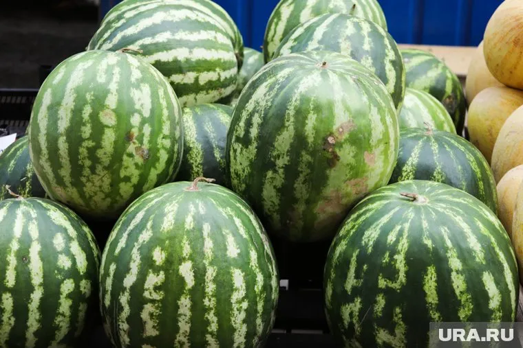 Из Казахстана на курганской границе остановили тонны арбузов без заверенных сертификатов