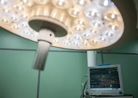 Фотография из галереи