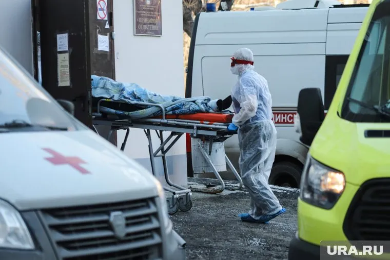 Каждые 5-10 лет в мире происходят вспышки новых инфекций