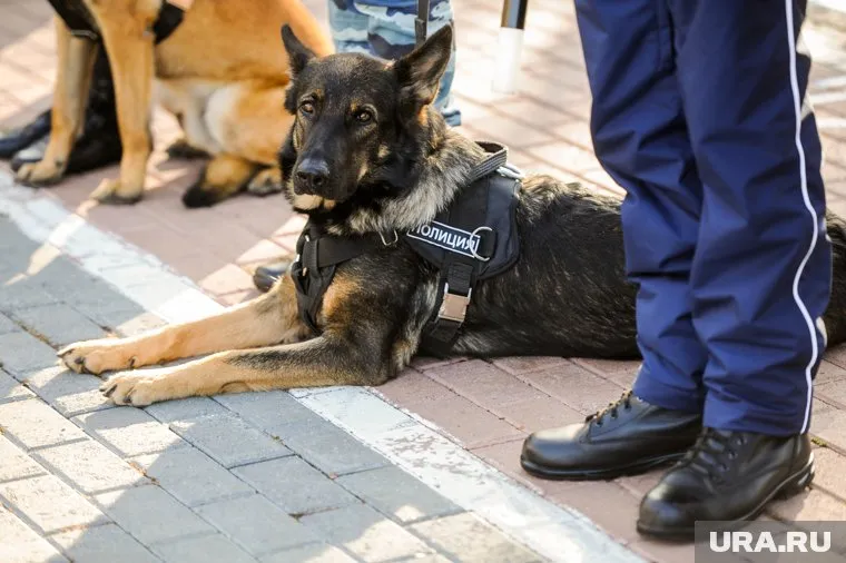 Купившим табак для перепродажи челябинцам грозит уголовное наказание