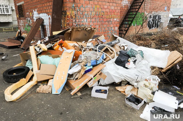 Свалку ликвидируют до 20 ноября (архивное фото)