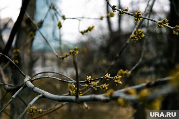 Сразу несколько важных дат выпадает на 25 апреля