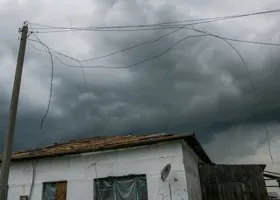 Фотография из галереи