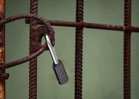 Фотография из галереи