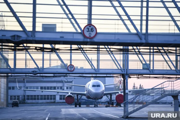 В двигатель самолета попала птица