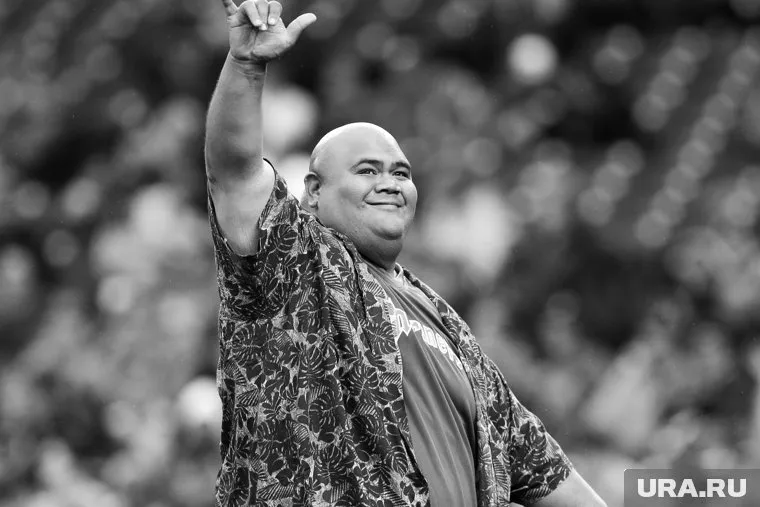 Единственный бой Тейлора Уайли в UFC длился всего 26 секунд