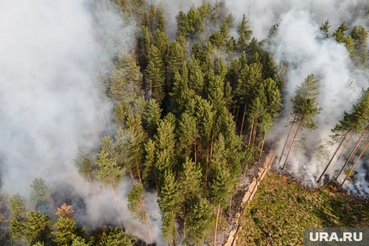 В Кургане участие в тушении пожаров принимает самолет-амфибия Бе-200