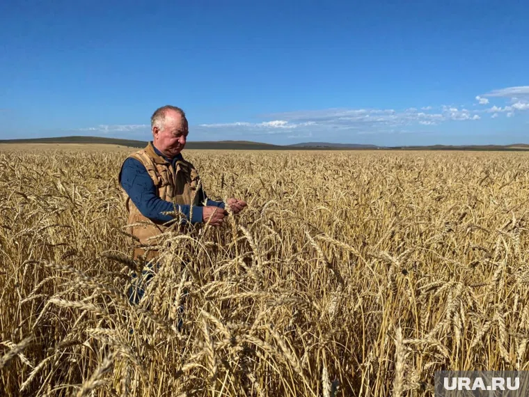 Фермер Николай Шаманин занимается земледелием 47 лет 