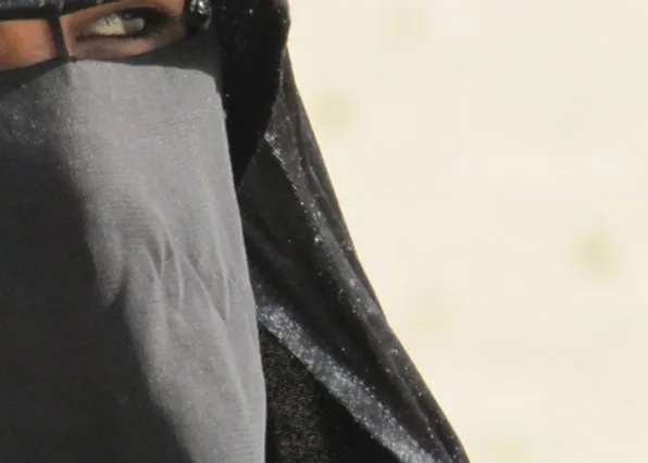 Фотография из галереи