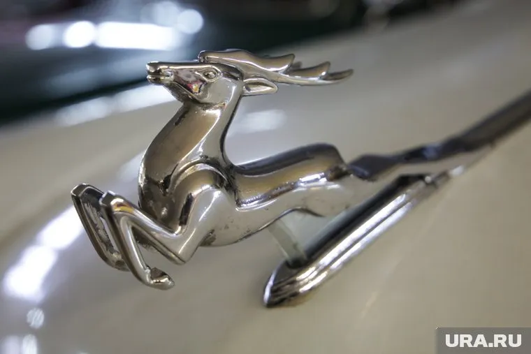 Автомобильный Ретро гараж. Пермь, олень, ретро автомобиль, волга газ21