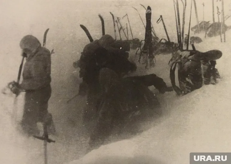 Чтобы понять это, надо «Мыслить как преступник»