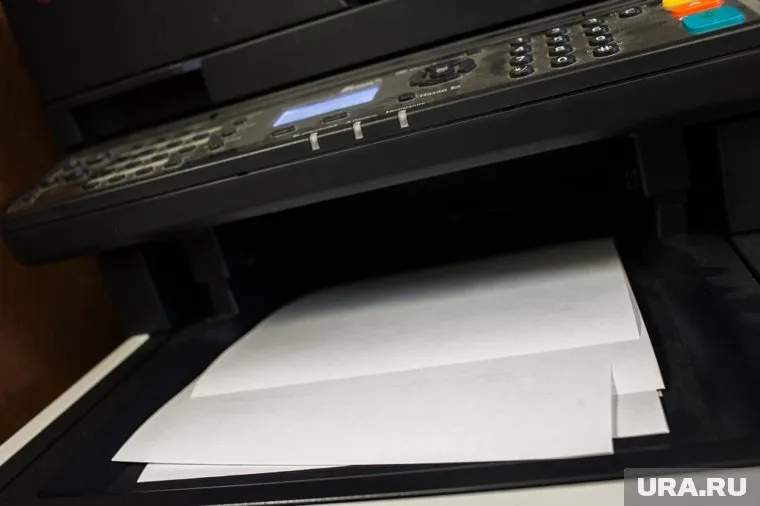 Новый год — время не только подарков и корпоративов, но и отличной возможности повеселиться на работе