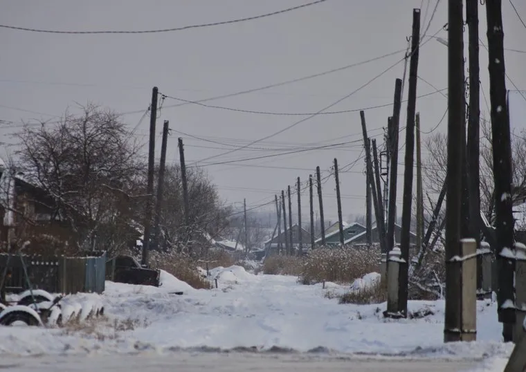 Петухово. Курган. Необр