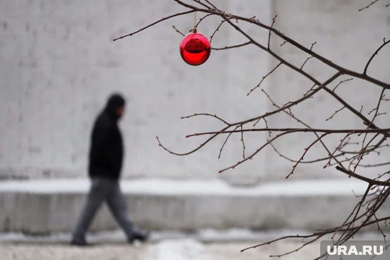 Работать в декабре россияне будут 22 дня