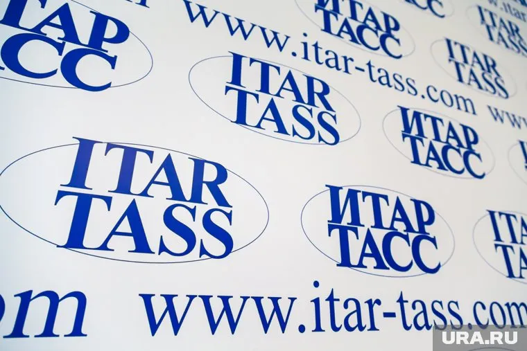 ТАСС создаст политический канал для детей за госсчет