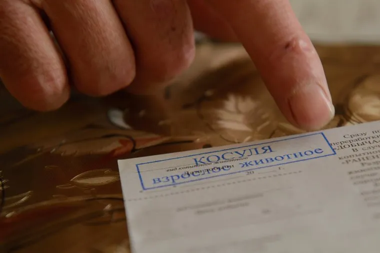 Егерь охотничьего хозяйства "Коклан" Ихтиандр Шарипов и дорога через камыши. Челябинская область