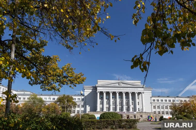 Новая программа обучения появится в университете в 2024 году