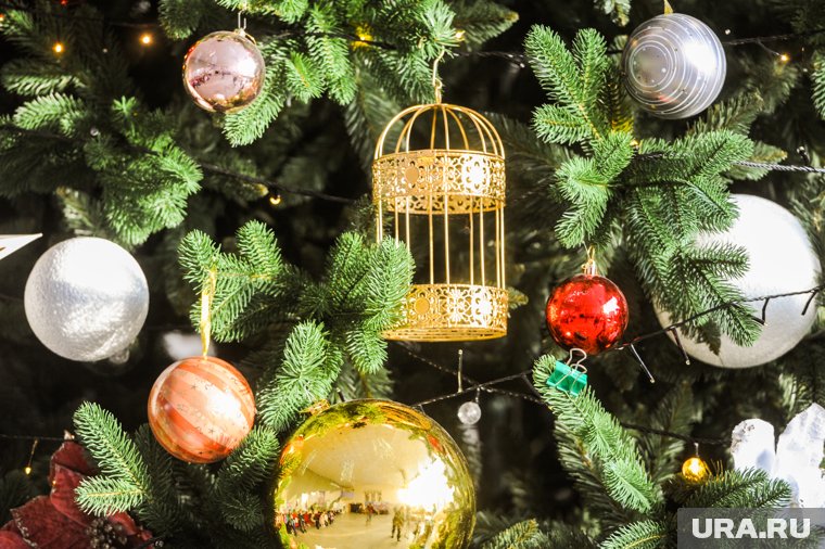 Пермский дизайнер рассказала, что делать с живой елью после Нового года