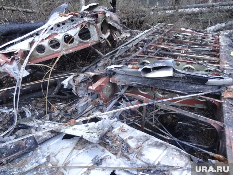 Садовничий погиб в авиакатастрофе (архивное фото)