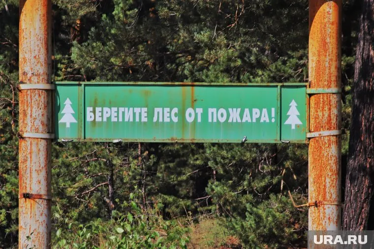 Курганцам могут запретить посещать леса из-за пожаров