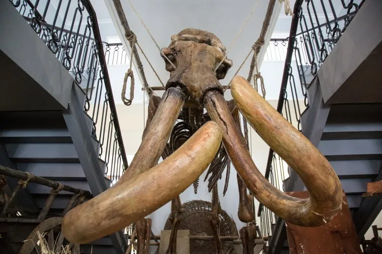 Посад сибирских старожилов и виды города. Тобольск, мамонт, кости мамонта, бивни