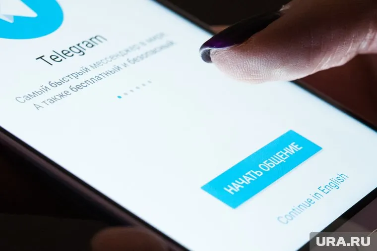Алексей Трифонов опубликовал в telegram-канале скрин переписки сторонников Навального