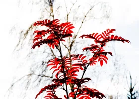 Челябинцам объявили, когда наступит потепление и сухая погода