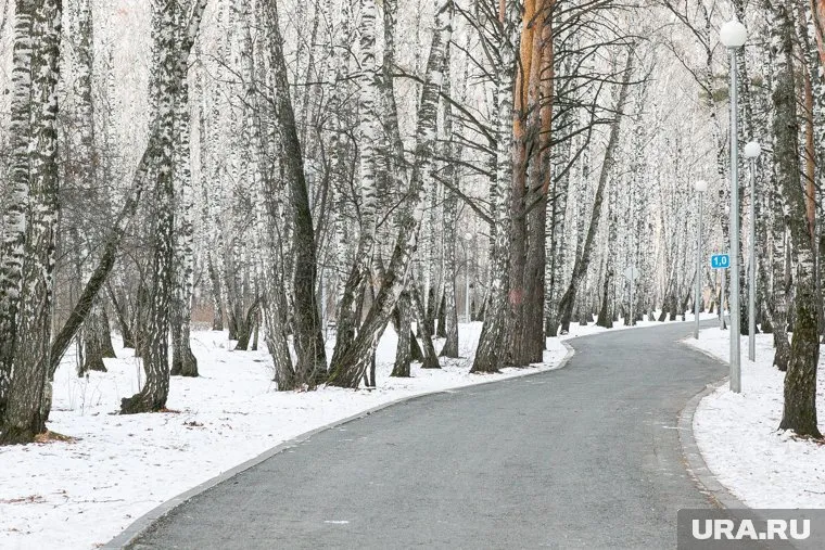 Сейчас Гилевская роща закрыта для посещения