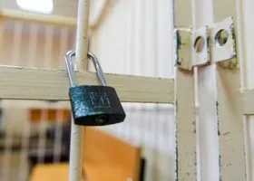 Челябинского учителя, обвиняемого в надругательстве над школьницей, отправили за решетку