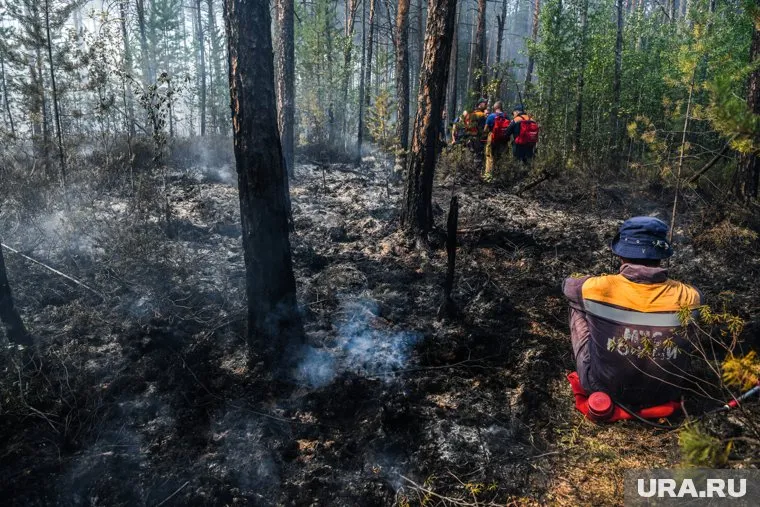 В поселке Сосновка днем объявили эвакуацию из-за угрозы пожара
