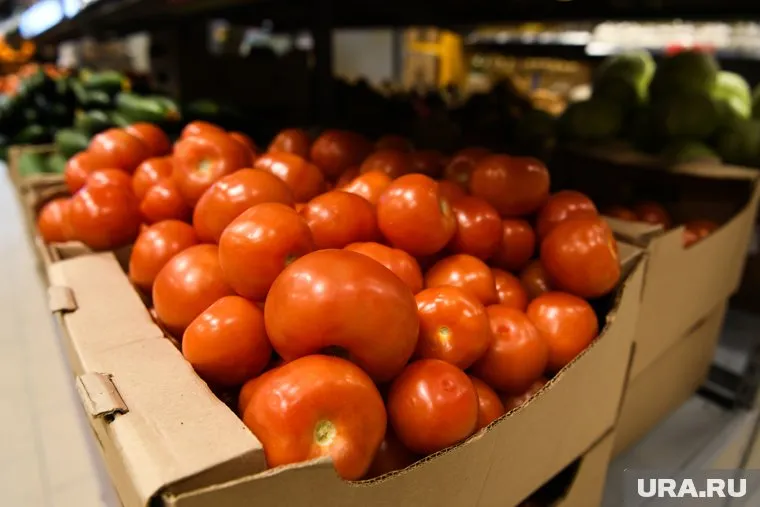 Помидоры за неделю подорожали на 1,6%