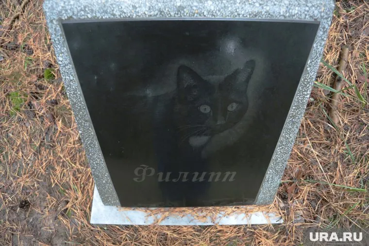 Тоболяки хотели бы иметь возможность кремировать своих любимцев