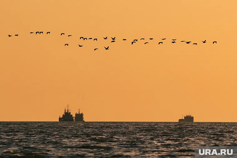В результате действий начальника материальный ущерб для государства составил более 8 миллионов рублей