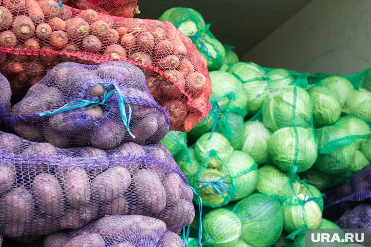 На юге Тюменской области в 2024 году пройдет два фестиваля, посвященных сбору овощей