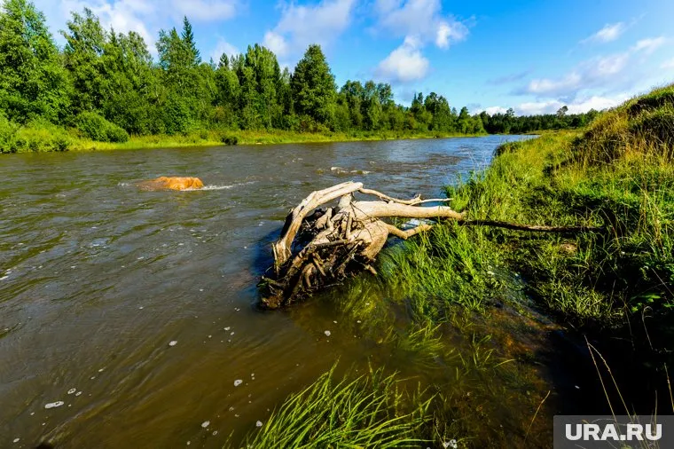 В реке Юрюзань утонул мужчина