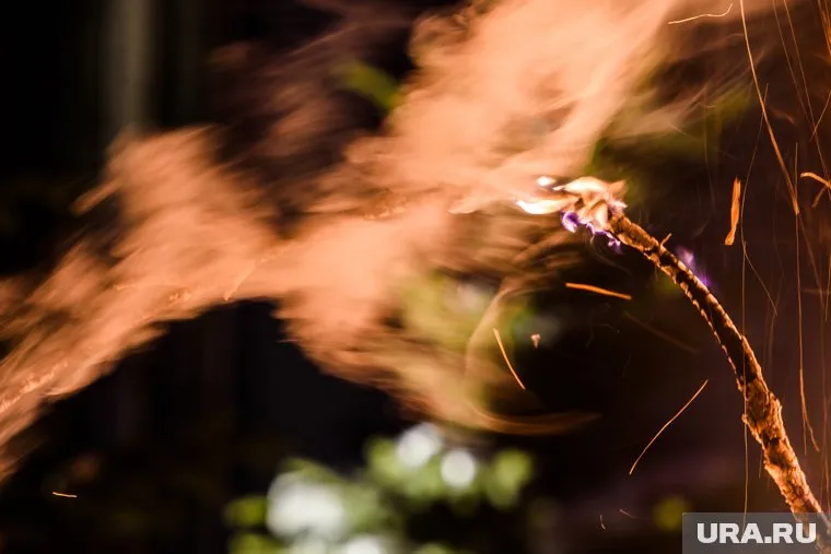 Осужденный заставил подчиненных оформить фальшивые постановления о нарушениях при сжигании мусора