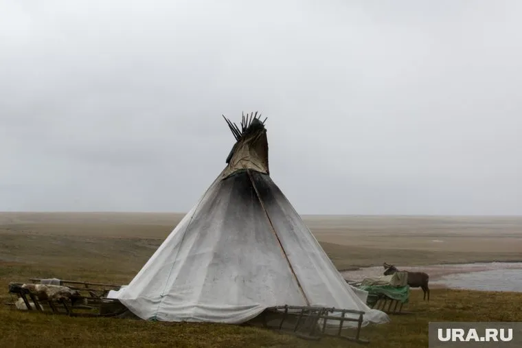 Учителя переживают за качество образования в кочевых школах